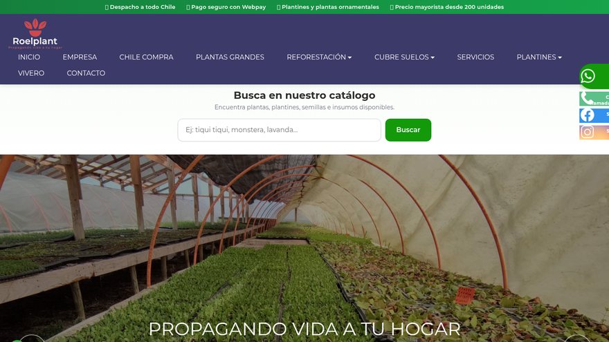 Sitio web Roelplant desarrollado por GrowMkTech